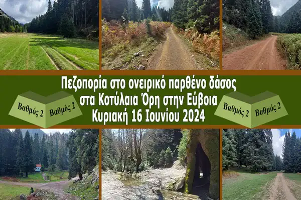2024-06-16 Hiking in the dreamlike virgin forest in the Kotylaia Mountains in Evia